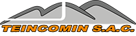 Teincomin logo
